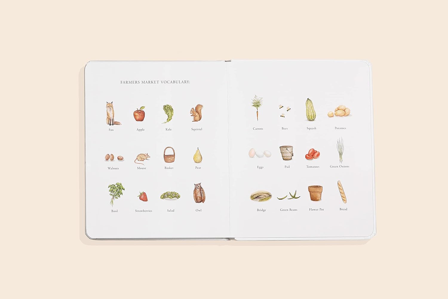 Our Little Adventure to the Farmers Market Board Book