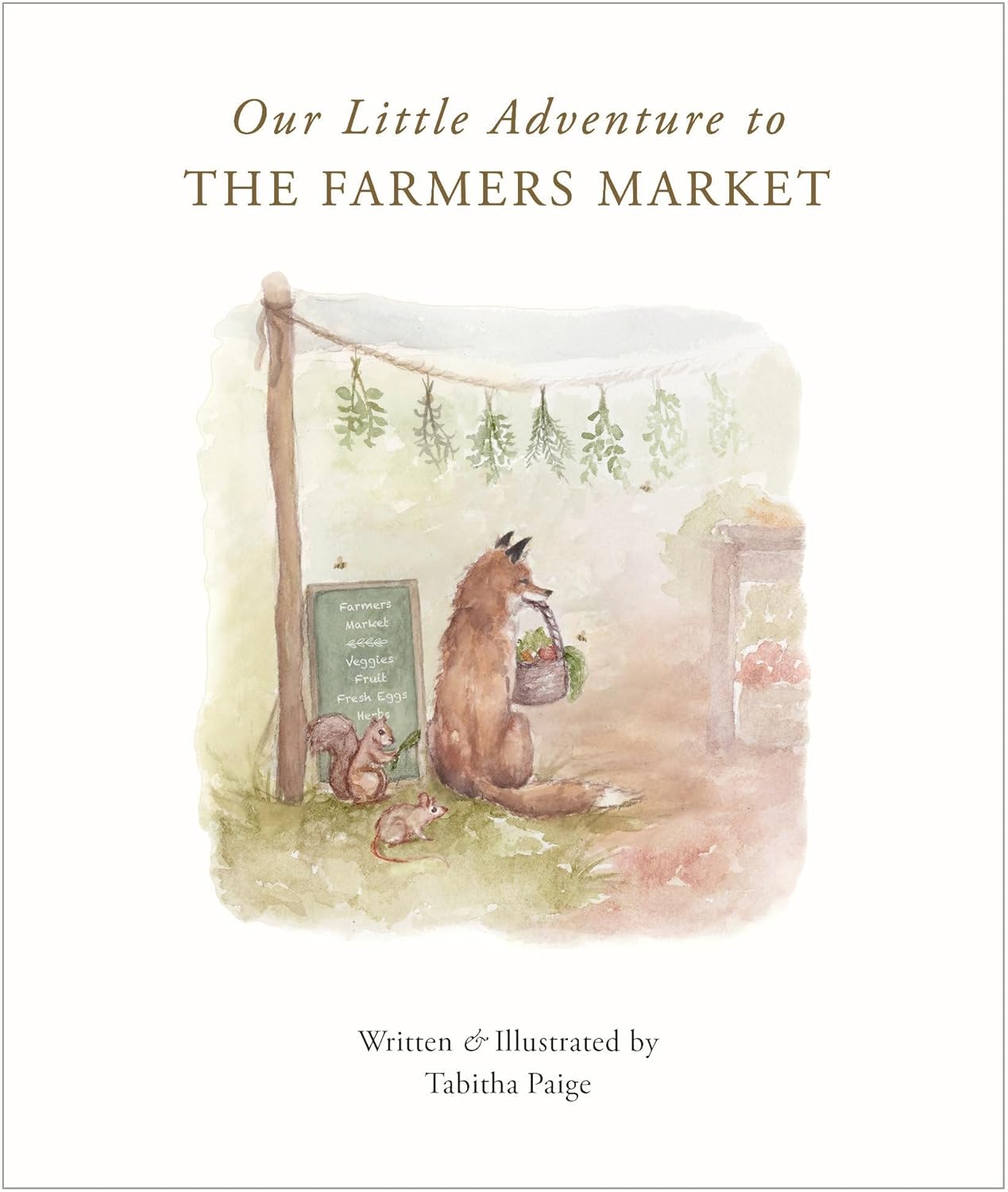 Our Little Adventure to the Farmers Market Board Book