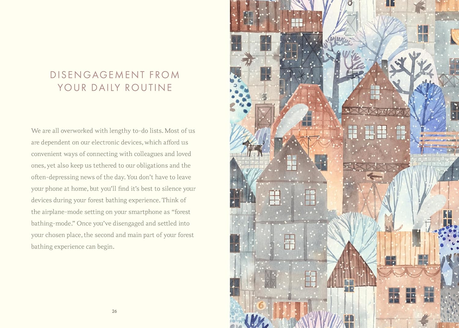 Wild Walking: A Guide To Forest Bathing Through The Seasons