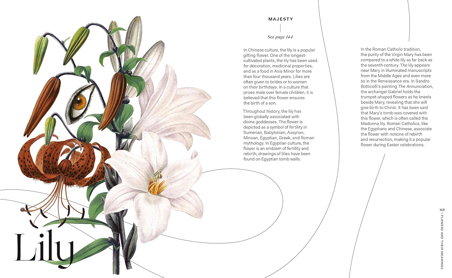 Flowers & Their Meanings Book