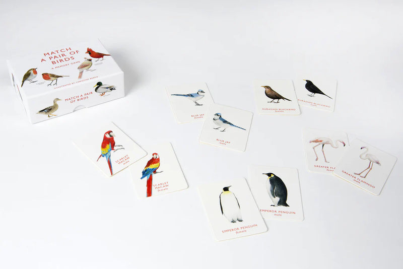Match A Pair of Birds Game
