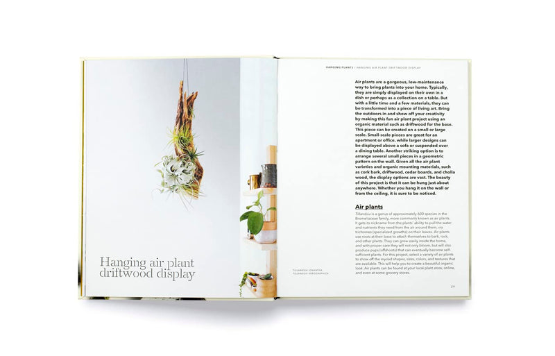 How To Plant A Room & Grow A Happy Home Book