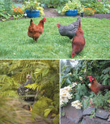 Free Range Chicken Gardens: How To Create a Beautiful, Chicken Friendly Yard