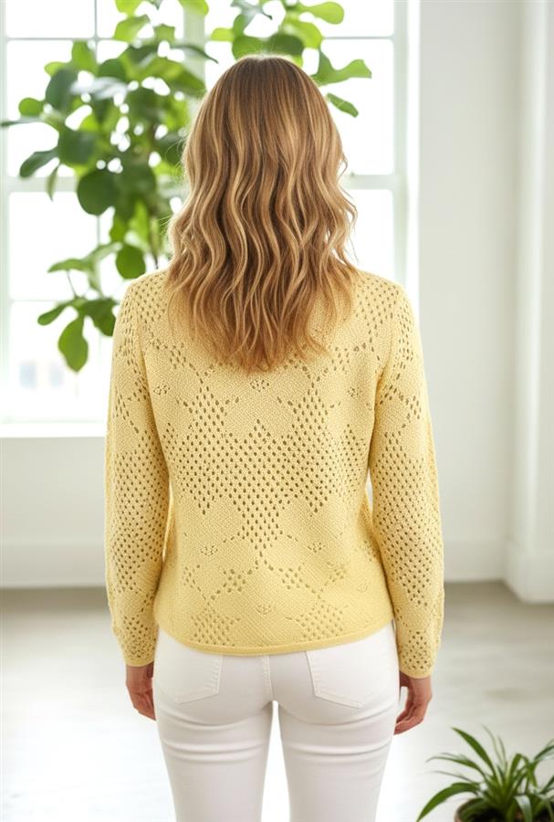 Flower Crochet Long Sleeve Sweater Top Lemon