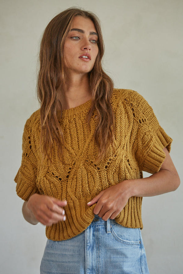 Cali Crochet Short Sleeve Sweater Top Iced Coffee