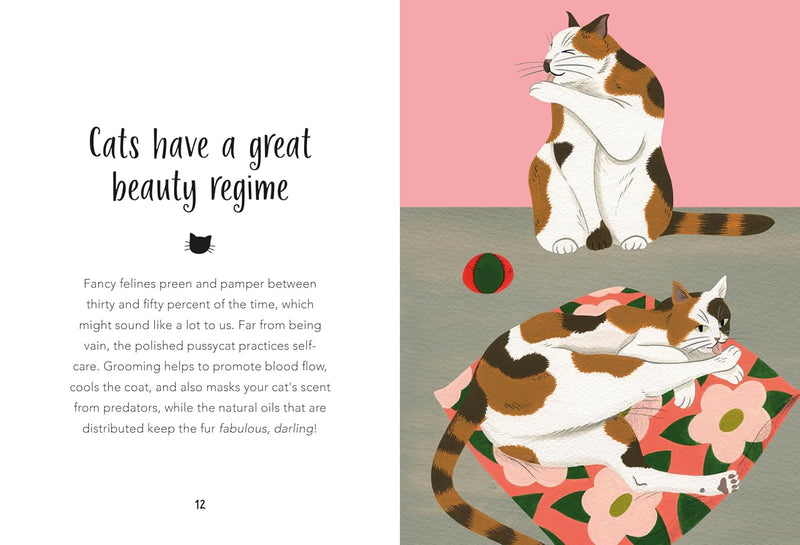 59 Things You Should Know About Your Cat