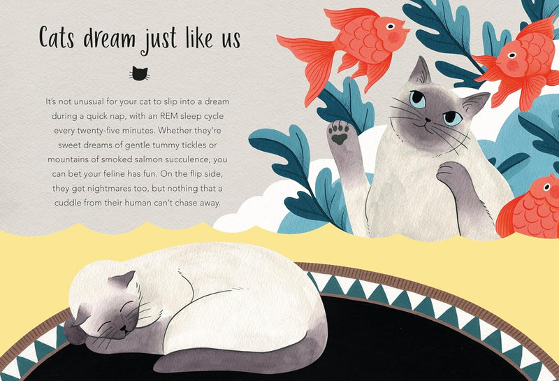 59 Things You Should Know About Your Cat