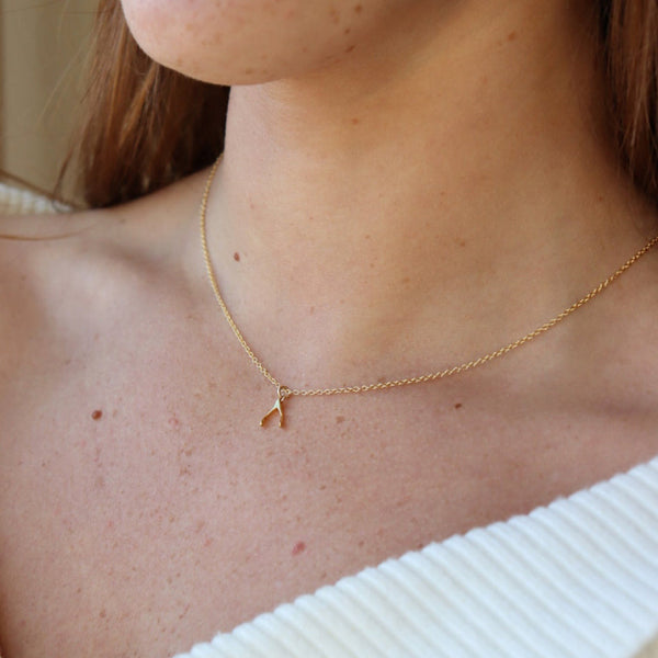 Wishbone Necklace