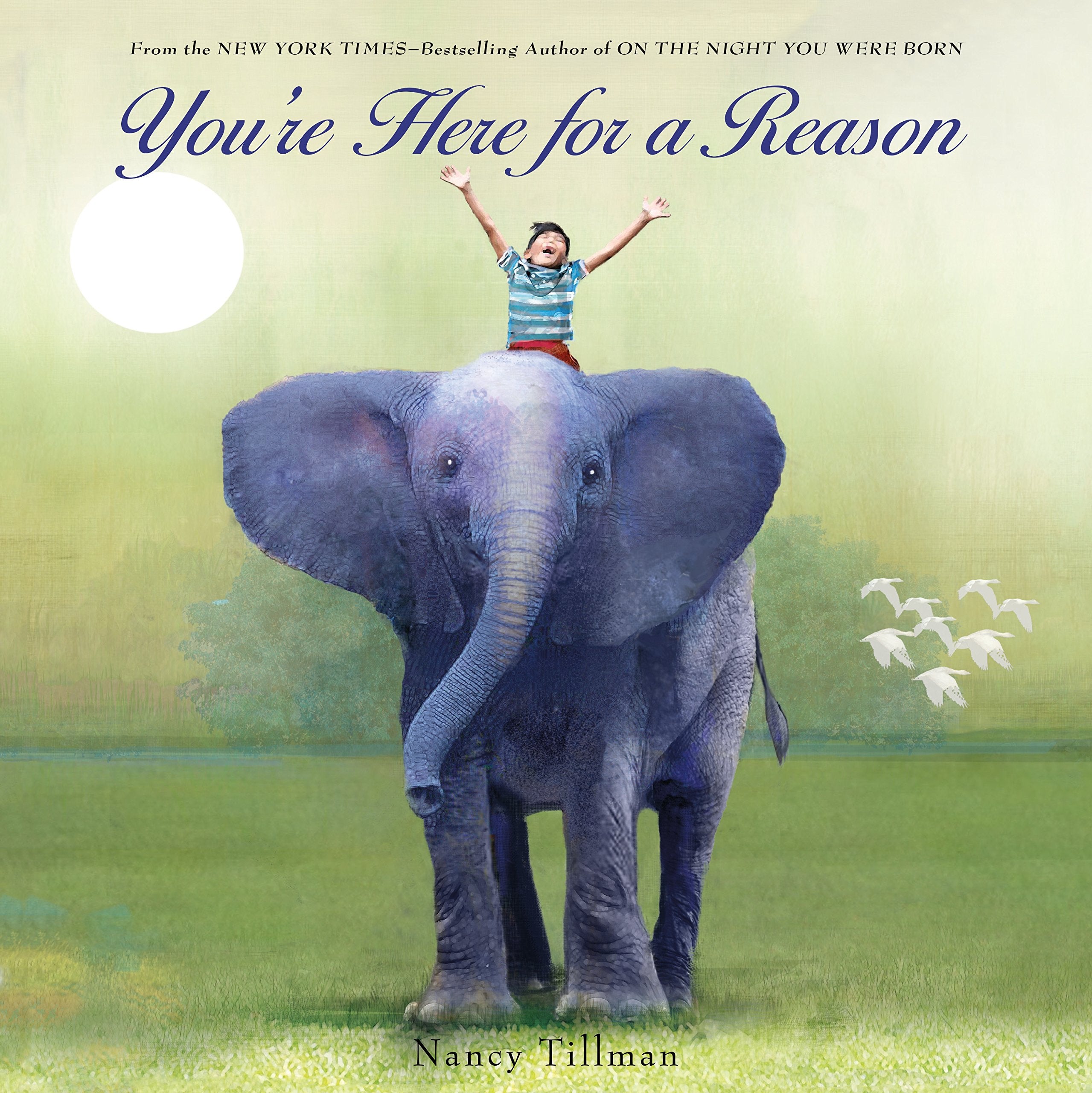 You're Here For A Reason Board Book