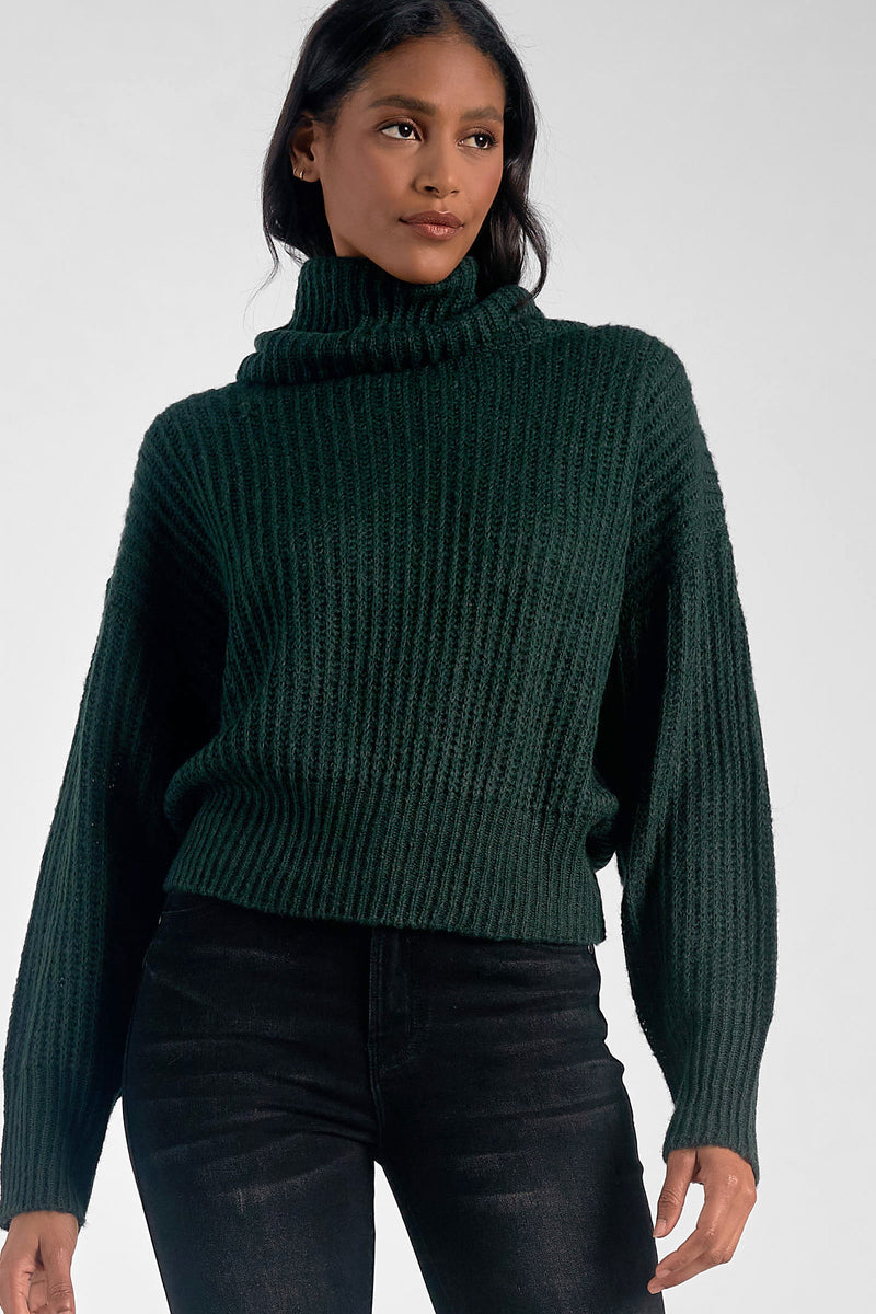 Turtleneck Thick Knit Sweater Teal