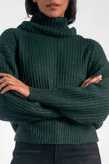 Turtleneck Thick Knit Sweater Teal