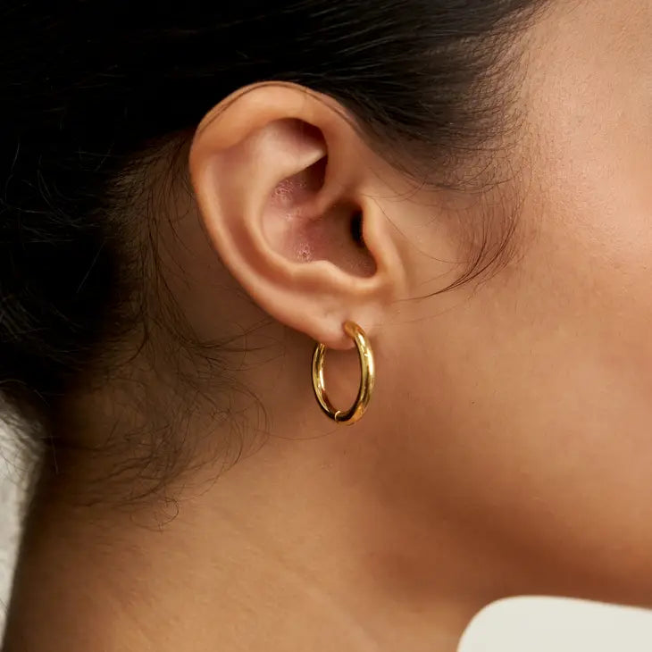 Mini Gold Hoop Earrings